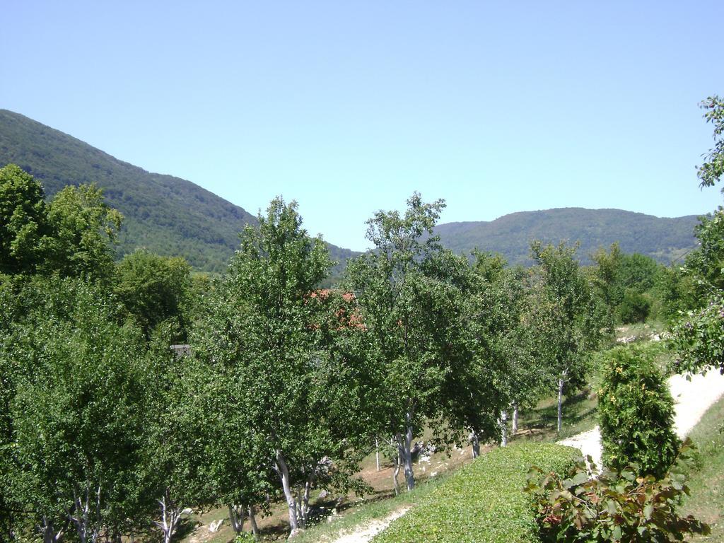 Apartment Jelena Селище Дрезницко Стая снимка